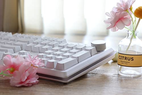 i-rocks K71M RGB Mechanical Gaming Keyboard with Media Control Knob, Switches (Brown), 107 Keys w/Full NKRO, PBT Keycaps, Multimedia Hotkeys, Detachable USB-C Cable and Onboard Storage, White - color: White, size: Switches (Brown)