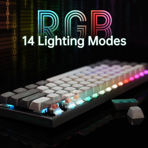 E-YOOSO Hz-61 60% Wired RGB Gaming Keyboard, Magnetic Switch, Hot-Swap | 8000Hz polling, rapid trigger, DKS/MT/TGL, 14 RGB modes, double-shot PBT keycaps, Type-C detachable, compact design.