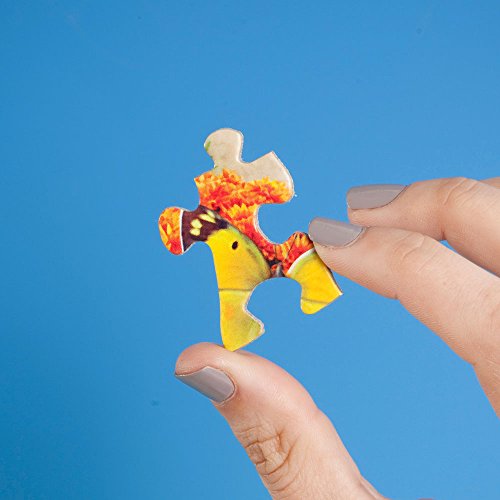 Bits and Pieces 3 Jigsaw Puzzle Set - 300 Piece Puzzles for Adults - Alan Giana Seasons Set - 18" x 24" Jigsaw Puzzles - Spring Winter Beach - Random Die Cut Pieces No 2 are Alike - size: 18" x 24" - Three 300 Piece Puzzles
