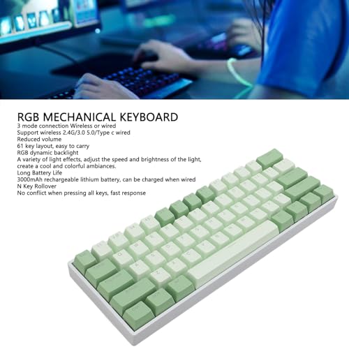 60 Percent Mechanical Keyboard, Compact Hot Swappable RGB Backlit Wired Gaming Keyboard, Red Switch for PC Office Work