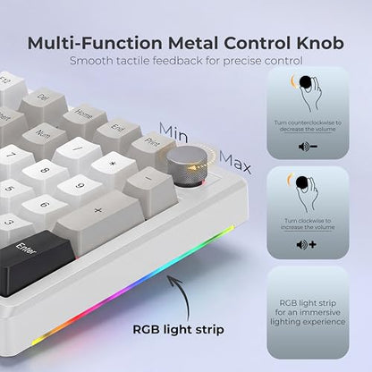 LUMI101 Wireless Mechanical Keyboard,Full-size keyboard with numeric keypad，Tri-Mode BT5.0/2.4GHz/USB-C Hot Swappable Custom Keyboard,RGB Backlit Computer Gaming Keyboards(White Grey Mute Switch) - color: White Mute Switch