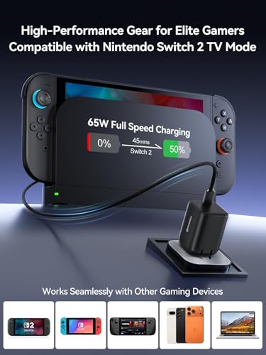 NEWDERY for Nintendo Switch 2 Charger 65W AC Power Adapter Foldable Plug | 5FT PD 3.0 Fast Charging,Replacement for OEM Switch 2, for Steam Deck Charger,4K TV Dock Supported