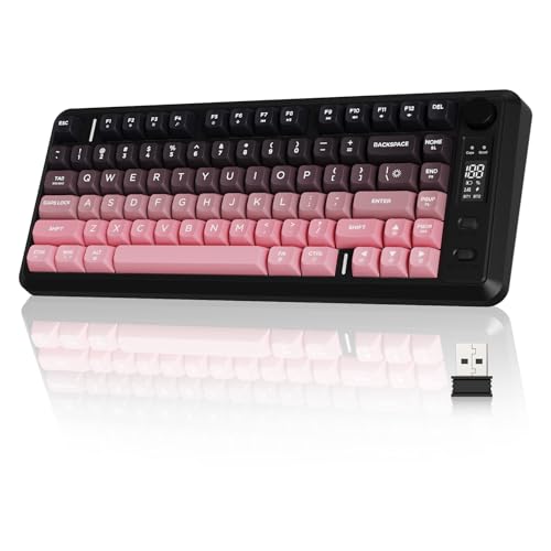 ZIYOU LANG M75 Wireless Gaming Keyboard, RGB Backlit Rechargeable 2000mAh Battery, Small Membrane But Mechanical Feel Keyboard with Smart Display & Knob, PBT Gradient keycaps for PC, MAC-BlackBerry - color: Blackberry