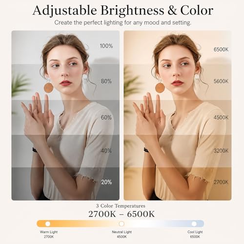Professional LED Video Light Panel, Compatible with Sony ZV-1F, 240 LEDs, USB-C Rechargeable 4000mAh Battery, Adjustable Brightness & Color Temperature (Recording & Streaming)