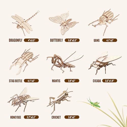 ELX Wooden 3D Puzzles for Kids 6+, 8 Piece Set Insect Animal Models, Wood Building Kits DIY Wooden Crafts Stem Toys peresents for Kids and Adults - style: 3D-Insects