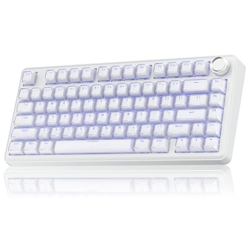 SOLAKAKA A75 Wireless Gaming Keyboard with Multifunction Knob, BT5.0/2.4GHz/USB-C, 75% Mechanical Keyboard, Hot-Swappable, Gasket Creamy Keyboard with RGB Backlit, Crystal Keycaps, for PC/Mac/PC - color: Crystal-White