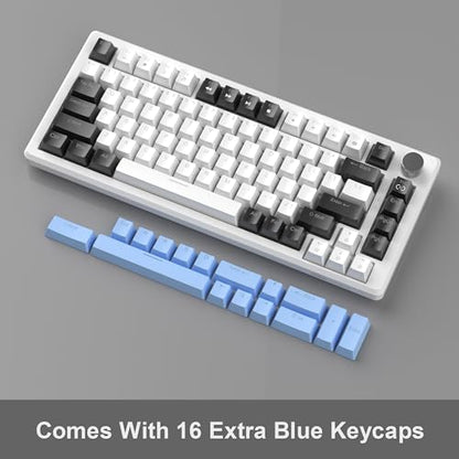MageGee 75% Mechanical Gaming Keyboard, Compact Blue Backlit Wired Gaming Keyboards with Brown Switches, EVA Foam, Knob Control, STAR75 Portable NKRO PC Gaming Keyboard - White & Blue - color: White & Blue - Brown Switch