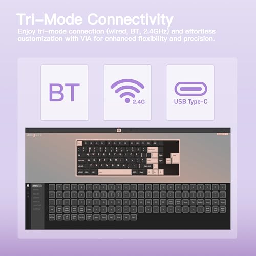 KEEBMONKEY WOBKEY Rainy 75 CNC Aluminum HMX/JWK/Cocoa Switches Triple-Mode Connectivity Mechanical Keyboard with Superior Acoustics, RGB/FR4/Silver SUS304/7000mAh/Cocoa Switch (Pro - Purple) - style: Pro - Purple