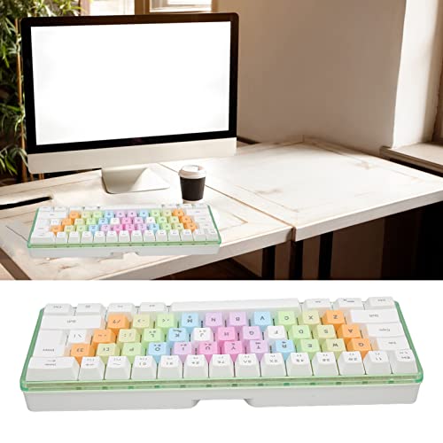 61 Keys Mechanical Gaming Keyboard RGB Backlit Compact 60 Percent Wired Keyboard with Colorful Keycaps for PC, Office Amp,Gaming Portable Mini Keyboard with Optical Switches (White) - color: White