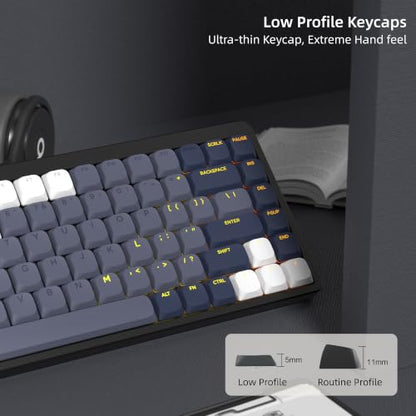 Womier Low Profile Keycaps - PBT Shine Through Keycaps | Mechanical Keyboard Caps, Custom Key caps Full Size for 60 65 75 100 Percent Cherry MX Switches Mechanical Keyboard, Gray - color: Dark Grey