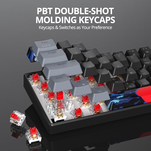 60% Mechanical Keyboard Grey and Black, Compact 60 Percent Gaming Keyboard RGB Backlit, 61 Keys Mini Keyboard, USB Wired Office Keyboard for Windows Mac Laptop PC (61 Dark/Red Switches) - color: 61 Dark/Red Switch