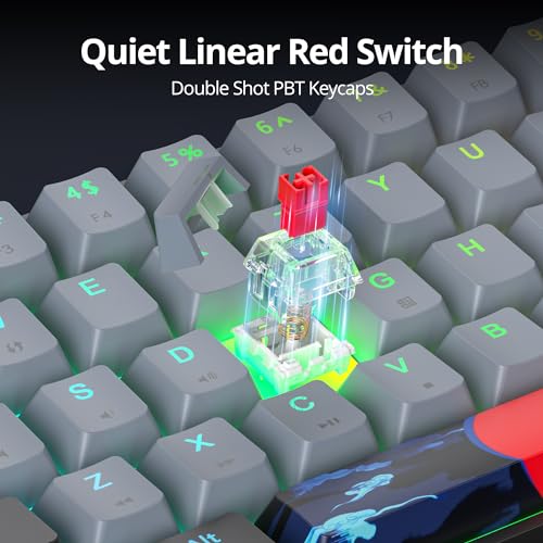 Grey and Black Mechanical Gaming Keyboard 65 Percent, Red Switch RGB Keyboard 65%, 68 Keys Small Wired Key Board, PBT Keycaps Anti-Ghosting Mini Keyboards for Game/Office (68 Dolch) - color: 68 Dolch/Red Switch