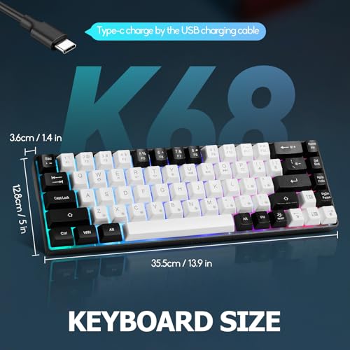 Guiheng Wired Portable 60% Mechanical Gaming Keyboard,RGB LED Backlit Compact 68 Keys Mini Wired Office Keyboard with Red Switch for Windows Laptop PC Mac - White - color: White and black