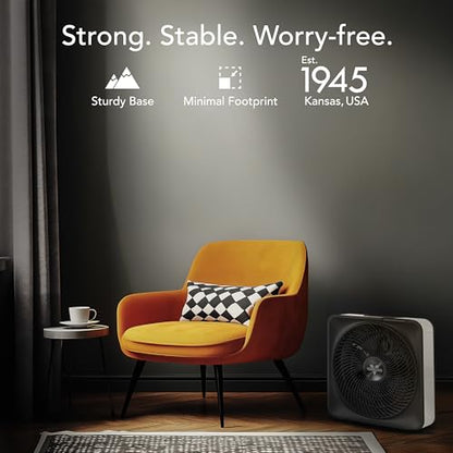 Vornado Model 80 High Velocity Box Fan, 20 Inch, 5 Speeds, Powerful Airflow | Removable Grille, Whole Room Air Circulation, Targeted Cooling, Cord Storage, Durable Floor Fan, Ice White - size: Model 80