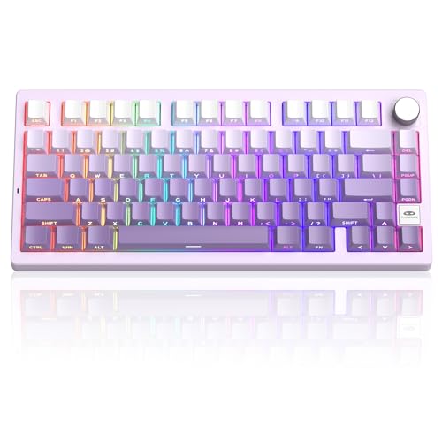 MageGee LIGHT75 Wireless Creamy Keyboard, Tri-Mode Bluetooth/2.4GHz/USB-C RGB Backlit, Gasket Hot Swappable Custom Gaming Keyboard for Win/Mac/PC, with Knob, Side Printed PBT Keycaps, Purple - color: White Purple/Purple Bird Switch