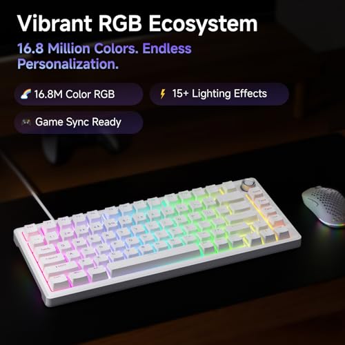 DIERYA DK81E 75% Mechanical Gaming Keyboard, Hot-Swappable, Wired, White | Gasket Mount, Pre-Lubed Linear Switches, 6-Layer Foam, Programmable, Volume Knob, RGB Backlight, Double-Shot Keycaps - color: White