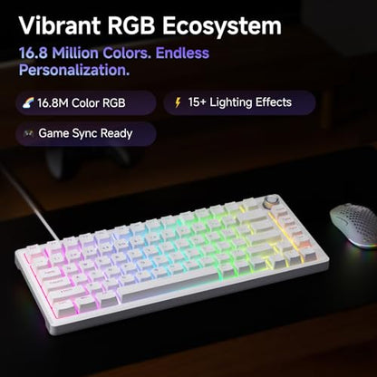 DIERYA DK81E 75% Mechanical Gaming Keyboard, Hot-Swappable, Wired, White | Gasket Mount, Pre-Lubed Linear Switches, 6-Layer Foam, Programmable, Volume Knob, RGB Backlight, Double-Shot Keycaps - color: White