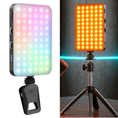 91 LED Portable Charger Selfie Light Video Conference Lighting | with Clip & Camera Tripod Adapter, Rechargeable 2000mAh, CRI 96+, 4 Light Modes, for Phone iPhone Webcam Laptop Makeup - color: Dusk Grey