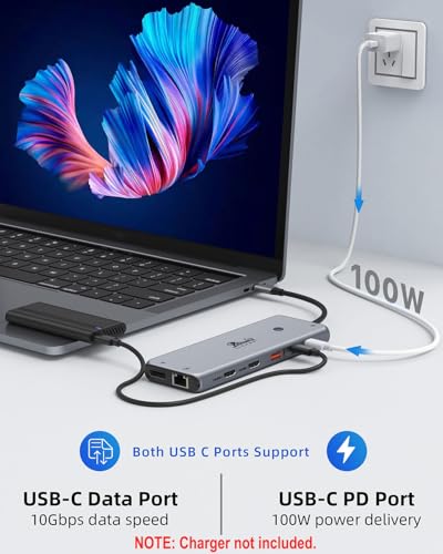 13 in 1 USB C Docking Station - Dual Monitor, Triple Display, 8 USB C/A Ports, Ethernet, Audio - LIONWEI USB C Hub for MacBook,Dell,HP,Lenovo,Surface - color: 13-in-1 Docking Station (USB C)
