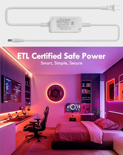 COB RGB+IC LED Neon Rope Light, 24V Color Changing Rope Light Compatible with Alexa, Google Assistant, Waterproof Neon Light Strip with Remote for Bedroom Gaming Room Party, 13x6mm, 32.8FT - size: 10m/32.8ft