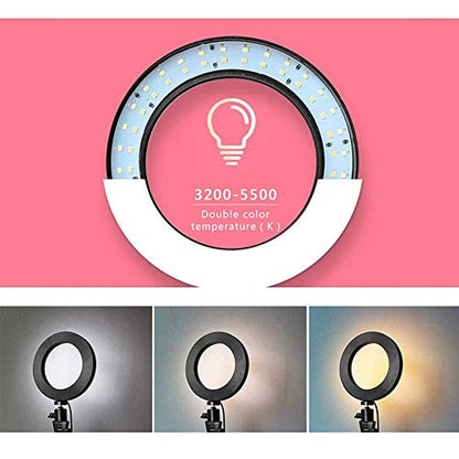 Webcam Streaming Light, Webcam Stand with 6'' Ring Light, USB Webcam Light Mount Kit for Logitech Webcam C920s C920 C930e C922x C930 C922 C925e C615 Brio - Dual 25 inch Arm Stand