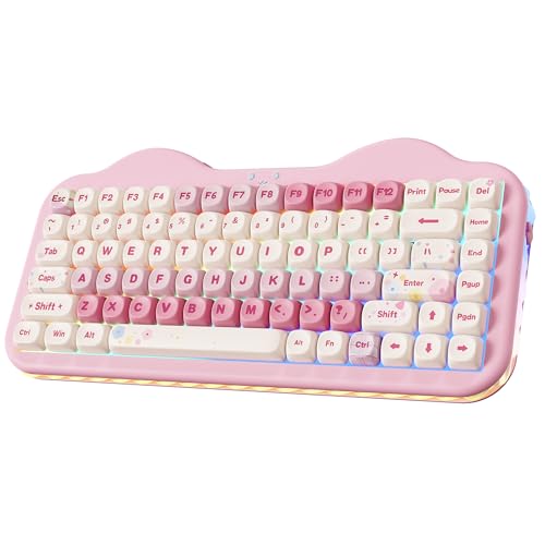 YUNZII C75 Wireless Mechanical Keyboard,75% Layout, Hot-Swappable NKRO,BT5.0/2.4G/USB-C Mode,Dye-Sub PBT MOA Keycaps,RGB Gasket Mount,Cute Cake Design for Mac/Win/Gaming (Pink, Candy Switch) - color: Pink, size: Candy Switch
