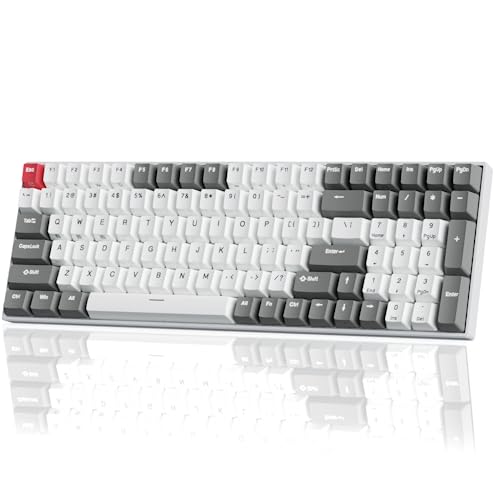 RK ROYAL KLUDGE RK100 Wireless Mechanical Keyboard RGB Backlit Bluetooth5.1/2.4G/Wired 96% Full Size 100-Key Hot Swappable Gaming Keyboard Brown Switch Classic - color: Classic, size: Hot Swappable Brown Switch