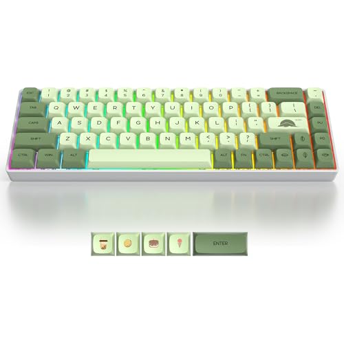 65% Mechanical Keyboard Wired Linear Red Switch RGB Backlight | 65 Percent 68-keys Compact Layout Gaming Keyboard TKL Ultra-Compact Mini RGB Backlit - color: 68 Matcha/Red Switch