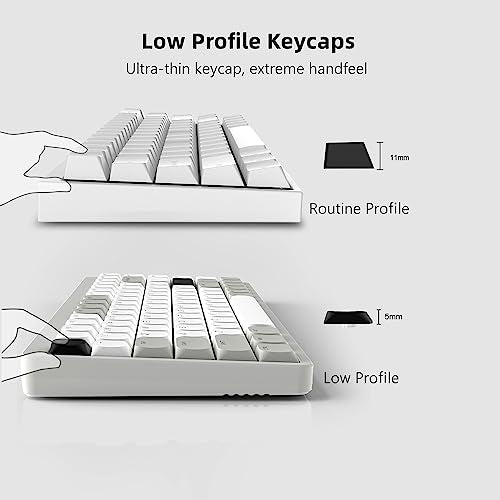 Womier Low Profile Keycaps - Shine Through Keycaps 60 65 75 100 Percent | Keyboard Key caps PBT Full Size for Cherry Gateron MX Switches Mechanical Keyboard, Grey/White - color: Grey