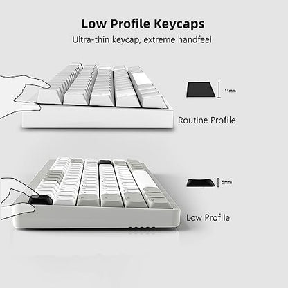 Womier Low Profile Keycaps - Shine Through Keycaps 60 65 75 100 Percent | Keyboard Key caps PBT Full Size for Cherry Gateron MX Switches Mechanical Keyboard, Grey/White - color: Grey