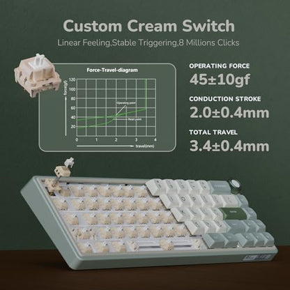 RK ROYAL KLUDGE R65 Wired Mechanical Keyboard, 60% Percent Creamy Gaming Keyboard Gasket Mount RGB Backlit with Programmable Knob, MDA Profile PBT Keycaps, QMK/VIA, Hot Swappable Linear Switch, Cyan - color: Cyan