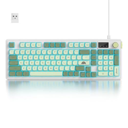 Fogruaden 96% Wireless Green Keyboard with Number Pad and Knob, Mechanical Feel, RGB Quiet Matcha Membrane Gaming Keyboard, Spill-Resistant, 3-Modes USB Rechargeable Silent Creamy Keyboard for Win/Mac - color: Matcha