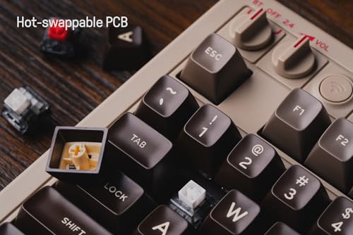 8Bitdo 87 Keys Retro Mechanical Keyboard, Bluetooth/2.4G/USB-C Hot Swappable Gaming Keyboard with Dual Super Programmable Buttons and Super Stick, Volume knob for Windows and Android - C64 Edition - color: C64 Edition