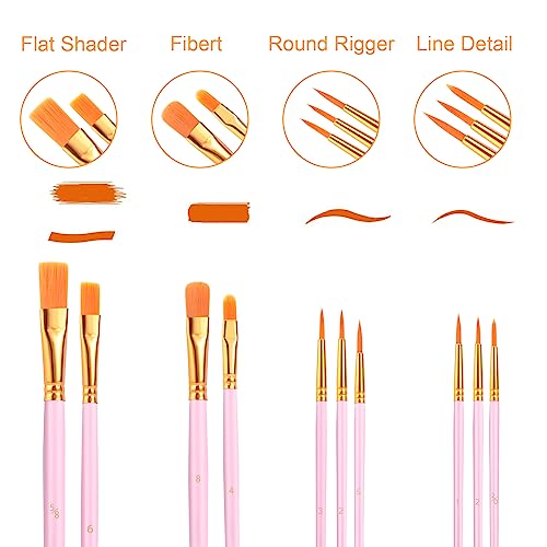 AROIC Acrylic Paint Brushes, 6 Packs/60 pcs Nylon Hair Paint Brush Set for All Purpose Oil Watercolor Painting Artist Professional Kits (Pink) - size: 60pcs-pink