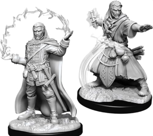 D&D Nolzurs Marvelous Unpainted Miniatures: Wave 3: Human Male Paladin