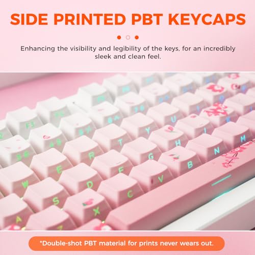 DAREU EK75PRO Sakura Pink 75% Mechanical Keyboard,Creamy Wireless Gaming Keyboard with Knob,RGB Backlit,Gasket Custom Structure,Side Printed PBT Keycaps,Hot Swap,2.4Ghz/BT5.1/USB-C, for Win/MAC - color: Sakura Pink