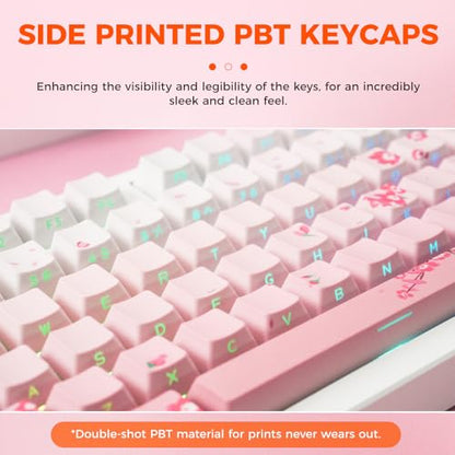 DAREU EK75PRO Sakura Pink 75% Mechanical Keyboard,Creamy Wireless Gaming Keyboard with Knob,RGB Backlit,Gasket Custom Structure,Side Printed PBT Keycaps,Hot Swap,2.4Ghz/BT5.1/USB-C, for Win/MAC - color: Sakura Pink