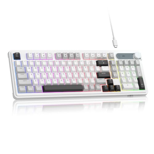 MageGee 96% Gaming Keyboard, RGB Backlit Wired Mechanical Feel Keyboard with Volume Knob, Full Size USB Keyboard with Number Pad, 19-Key Rollover, Multimedia Keys for PC Computer Laptop Windows - color: Greywhite