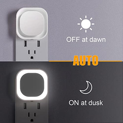 2 Pack Daylight White Night Light, Gentle Eye-Care with Dimmable Wide-Glow & Indirect Reflection, Auto Dusk to Dawn Sensor, Plug in for Kitchen Counter, Garage Workshop, Laundry, Hallway | Dimmable, Dusk to Dawn Sensor, Daylight White, Eye-Care Reflected