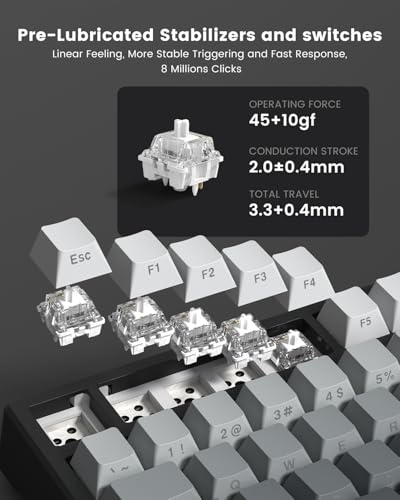 X98 Wireless Mechanical Keyboard, RGB Backlit Custom Gaming Keyboard with Number Pad, BT5.0/2.4GHz/USB-C, Gasket Structure, Hot Swappable Pre-lubed Linear Switch, Side Printed PBT Keycaps
