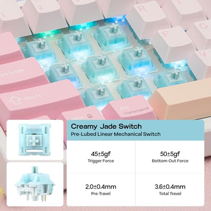 EPOMAKER TH108 PRO Full Size Mechanical Keyboard with Screen & Knob, Wireless Gaming Keyboard with 10000mAh, Creamy Gasket, Hot Swap, Custom Driver, RGB Backlight, NKRO (Pink, Creamy Jade) - color: Pink, size: Creamy Jade