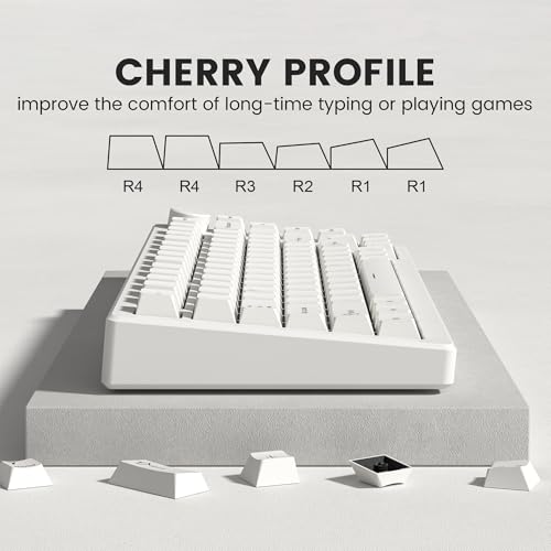 dagaladoo Double Shot PBT keycaps Set, Cherry Profile Keyboard Keycaps | Retro key caps full size,Custom keycaps for 60% 65% 75% 100% Cherry-MX switch Mechanical Keyboard(Milky White,126-keys) - color: Milky White