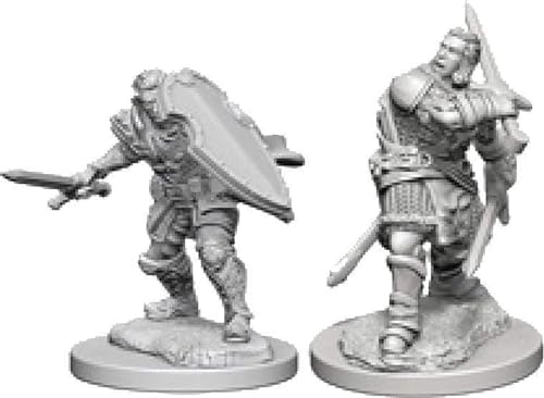 D&D Nolzurs Marvelous Unpainted Miniatures: Wave 3: Human Male Paladin