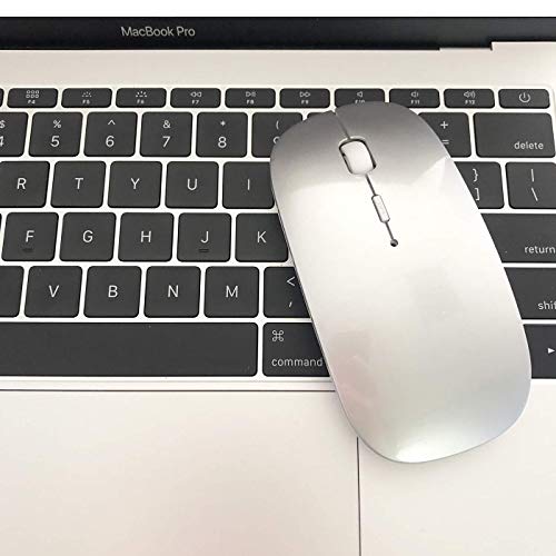 Bluetooth Wireless Mouse for Laptop mac MacBook ipad MacBook air MacBook pro pc Desktop Computer Windows Chromebook Notebook (Silver) - color: silver