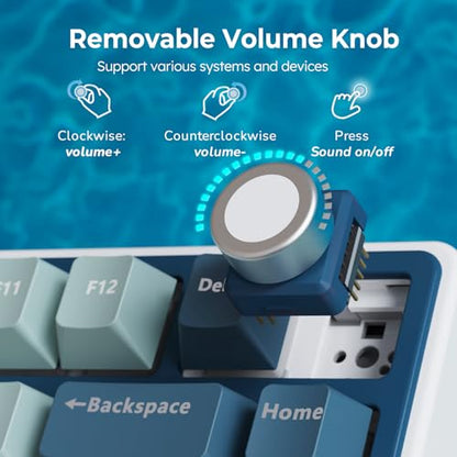 RK ROYAL KLUDGE R75 Wireless Mechanical Keyboard, 75% Percent Custom Gaming Keyboard Gasket Mount RGB Backlit with Knob & PBT Keycaps, BT5.1/2.4GHz/USB-C, Hot Swappable Cream Switch - color: Blue