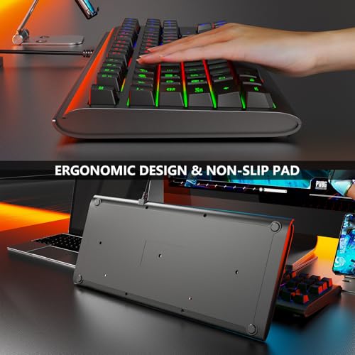 Lumsburry Computer Keyboard, 87 Keys Compact Wired USB Keyboard with Rainbow LED Light Up Backlit for PC Gaming Laptop Teclado Gamers Office Working