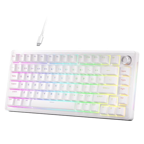 DIERYA DK81E 75% Mechanical Gaming Keyboard, Hot-Swappable, Wired, White | Gasket Mount, Pre-Lubed Linear Switches, 6-Layer Foam, Programmable, Volume Knob, RGB Backlight, Double-Shot Keycaps - color: White