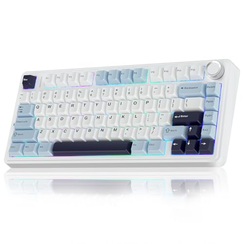 AULA F75 75% Wireless Mechanical Keyboard, Hot Swappable Creamy Keyboard, Pre-lubed Reaper Switches, 2.4GHz/Type-C/BT5.0, RGB Backlit Gaming Keyboards(White & Blue) - color: Glacial Blue