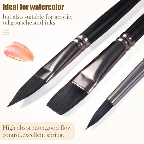 Watercolor Paint Brush Set,12Pcs Professional Paint Brushes for Acrylic Painting,Soft Synthetic Fine Hair Oil Paint Brushes,Flat,Round, Cat's Tongue,Liner for Detail Painting and Art Painting
