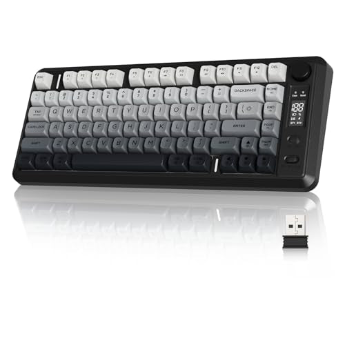 ZIYOU LANG M75 Wireless Gaming Keyboard, RGB Backlit Rechargeable 2000mAh Battery, Small Membrane But Mechanical Feel Keyboard with Smart Display & Knob, PBT Gradient keycaps for PC, MAC-Moonlit Night - color: Moonlit Night